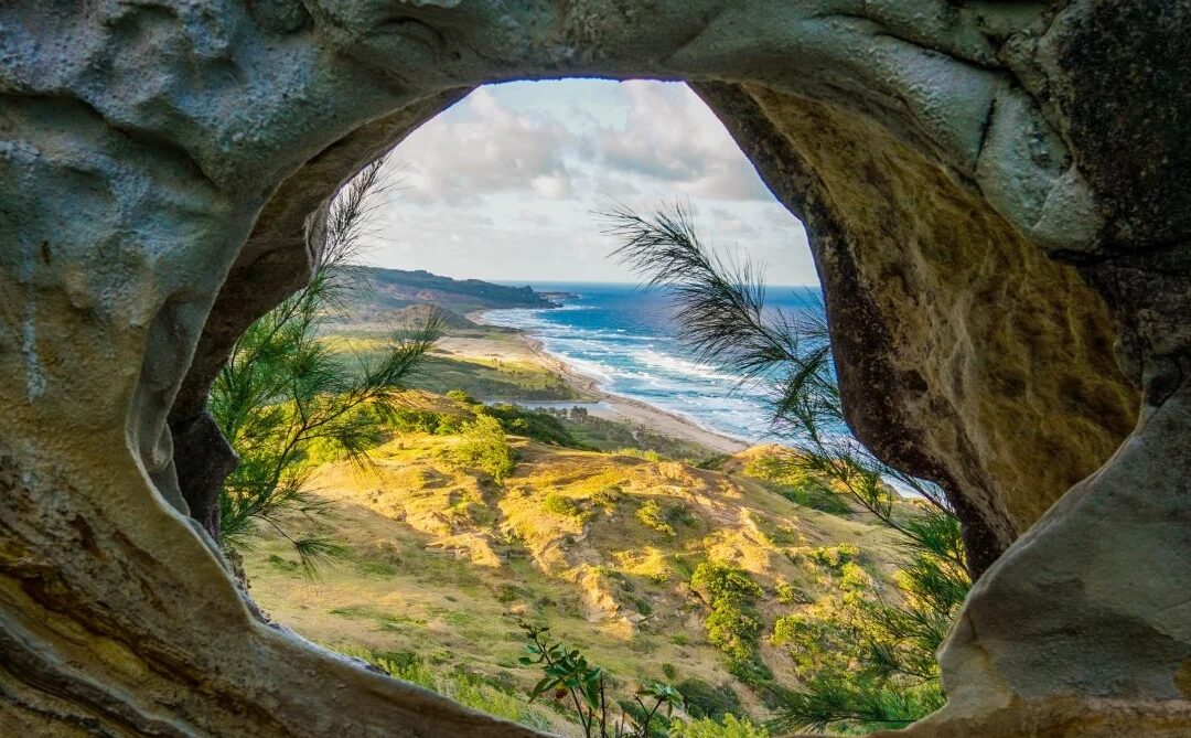 The Hidden Mental Health Costs of High-Profile and High-Pressure Lives