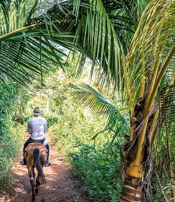 Cocaine: A Game of Russian Roulette!
