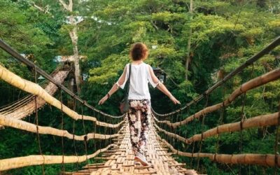 Mindfulness & Self-Care in the Spotlight: A Survival Guide for High-Profile Lives
