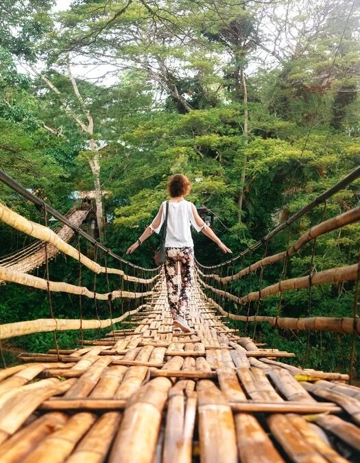 Mindfulness & Self-Care in the Spotlight: A Survival Guide for High-Profile Lives